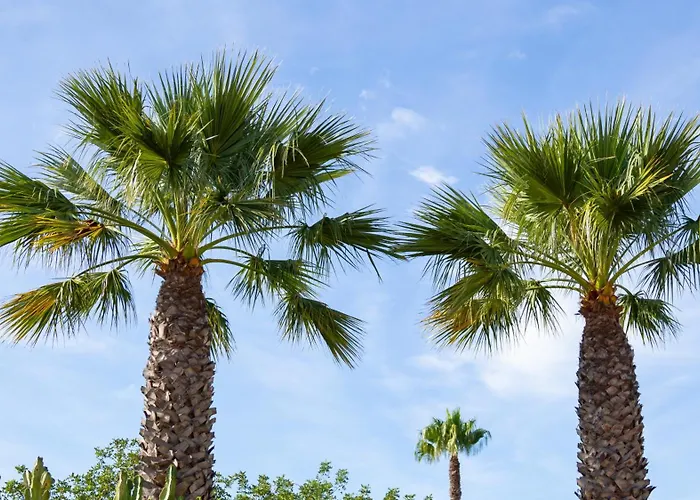 Bright 3 Bdr Duplex House With Pool By Lovelystay Carvoeiro (Lagoa)